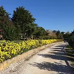 Quinta - Sintra