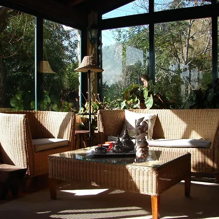 Quinta - * סינטרה