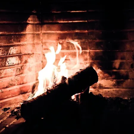 Quinta - * סינטרה