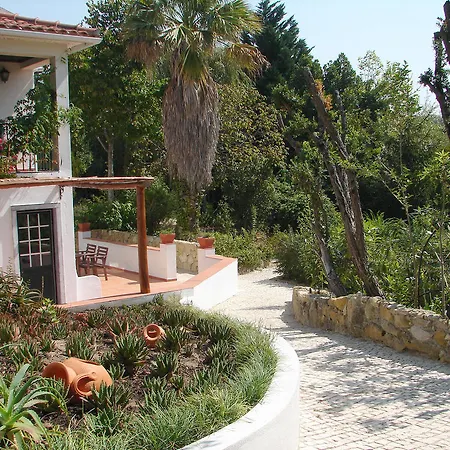 Quinta -
