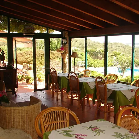 Quinta - * סינטרה