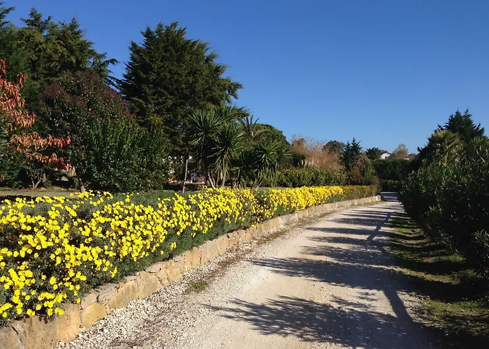 Quinta - Σίντρα