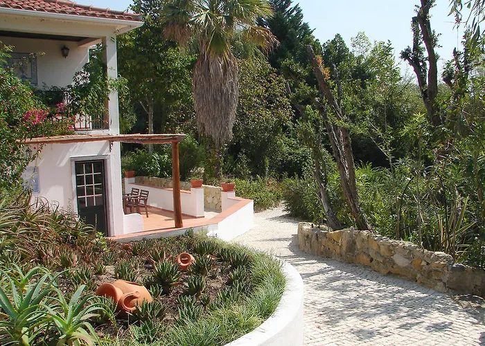 Quinta -